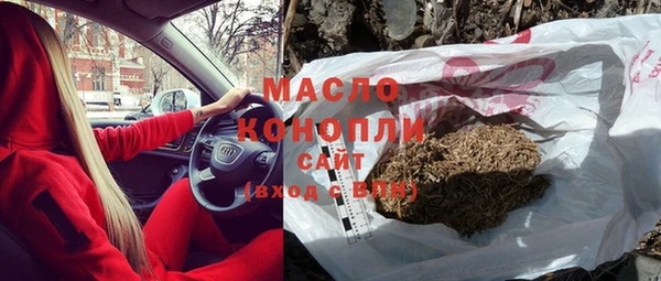 гашик Алексеевка