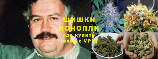 гидра Алексин