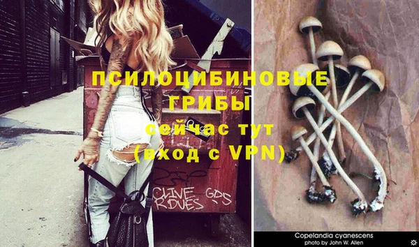гашик Алексеевка