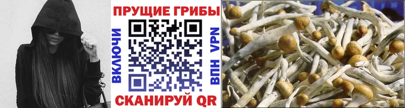 нарко площадка наркотические препараты  Грайворон  Галлюциногенные грибы мицелий  купить  